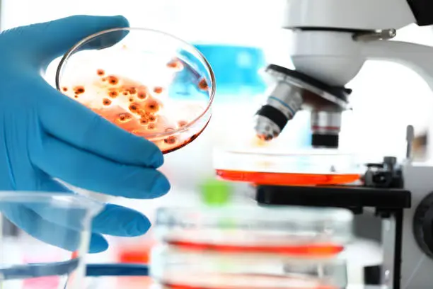 blog2Fblog2stockimage